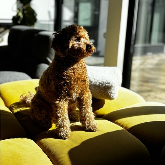 Meet your Posher, Marta - Picture 1 of 2